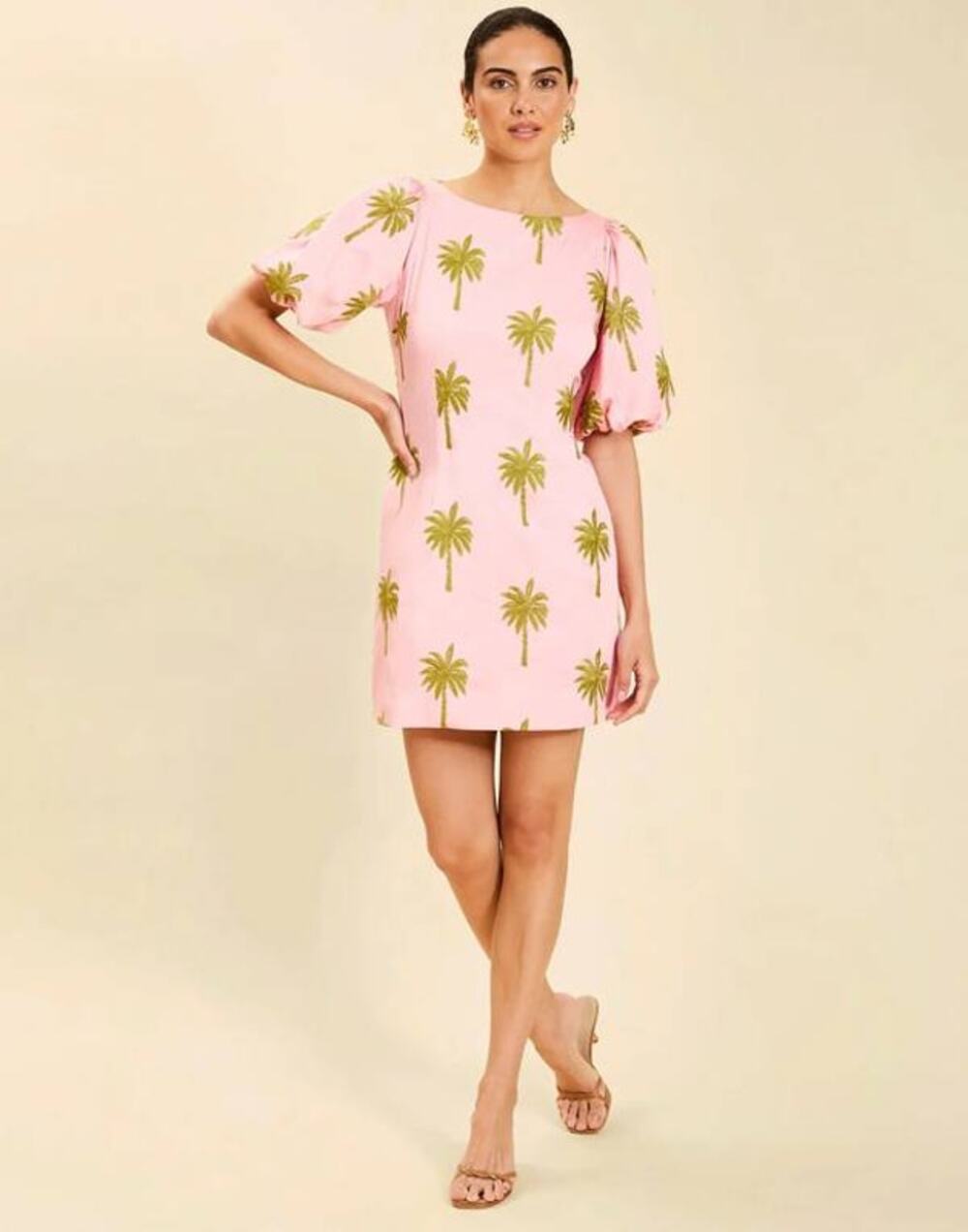 Mestiza New York Donavan Mini Dress in English Rose 4